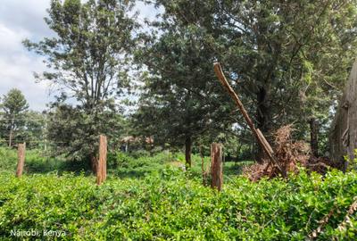 0.5 ac Land at Ridgeways Lane