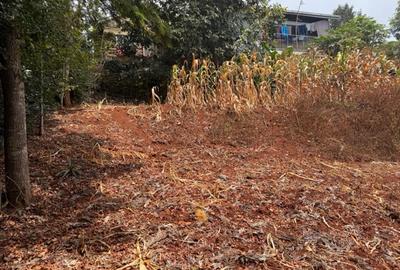 0.25 ac Land in Nyeri - 4