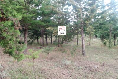 6 ac Land at Mukima Ridge - 4