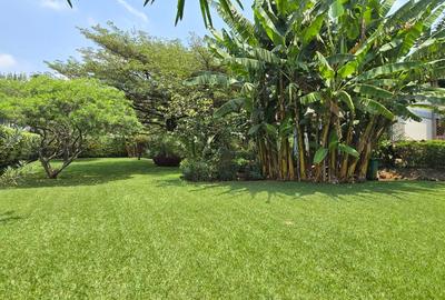 4 Bed Townhouse with En Suite in Rosslyn - 3