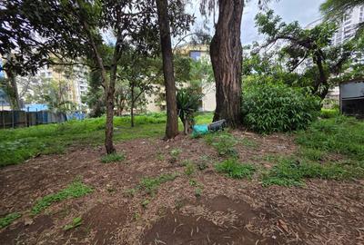 Land in Hurlingham - 4