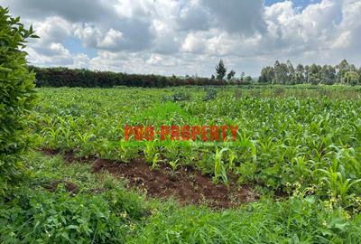 0.4 ha Land at Tilisi - 3