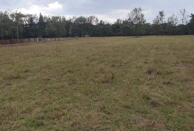 Land in Karen - 3