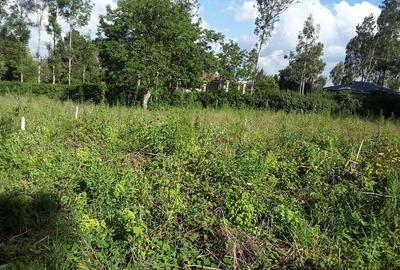 1,000 m² Residential Land at Kerarapon Drive - 4