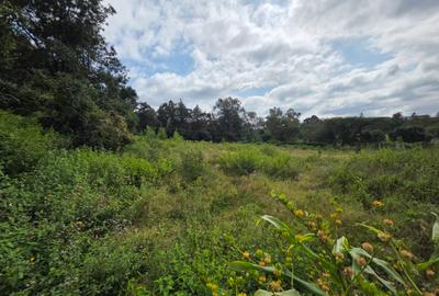 Land in Karen - 4