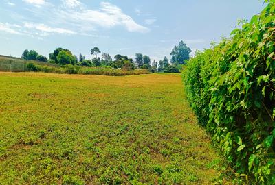 1,000 m² Residential Land at Thogoto - 3