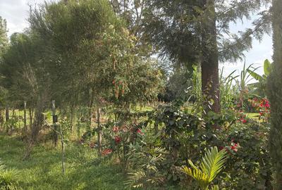 Residential Land in Garden Estate - 2