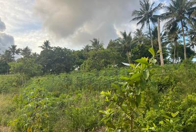 0.6 ac Land at Ls219 - 3