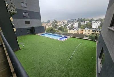 3 Bed Apartment with Swimming Pool in Rhapta Road - 2