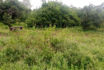 Land in Karen Hardy - 3