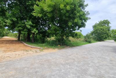 2,000 m² Land at Vipingo Kuruwitu - 4