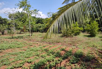 1,000 m² Residential Land at Mvindeni - 2