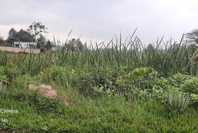 Land in Runda - 4