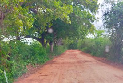 40 ac Land at Vipingo Kuruwitu - 3
