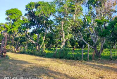Land at Aloo Drive Mtwapa Creek - 2