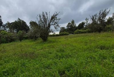 Commercial Land in Tigoni - 4