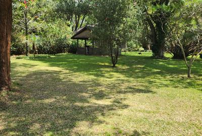 1 ac Land in Karen - 2