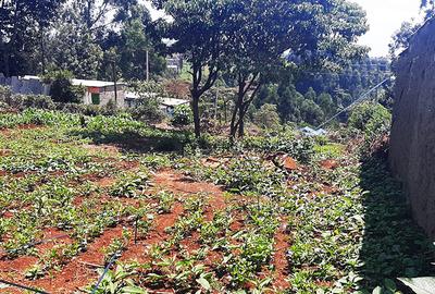 Land in Ruaka - 3