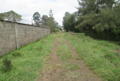 Land at Garden Estate - 2
