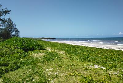 Land at Kilifi Bofa Beach - 4