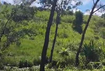 Land in Tigoni - 3