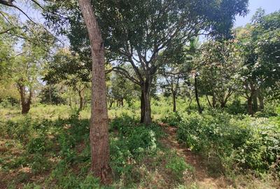 0.25 ac Land in Diani - 2