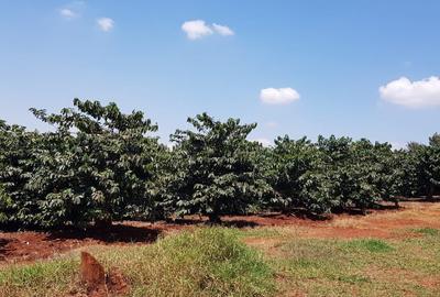 850 ac Land in Juja - 2