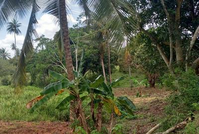 6 ac Land at Msambweni - 2