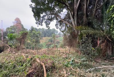 1 ac Land in Kitisuru - 4