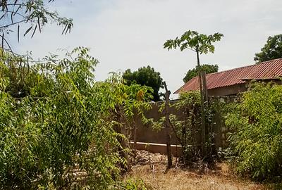 Land at Vipingo - 4