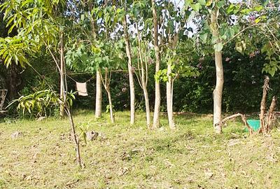 Land at Diani Beach Road - 3