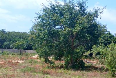 1,000 m² Residential Land at Vipingo - Kuruwitu - 3