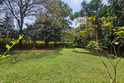 Land in Lavington
