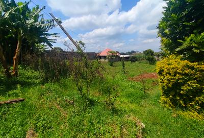 0.5 ac Commercial Land in Tigoni - 4