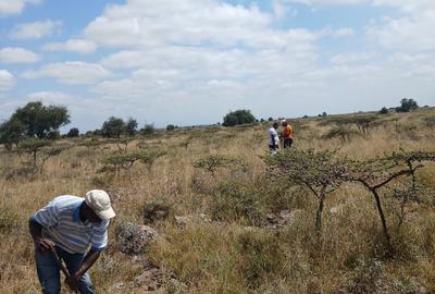 Land at Daystar University