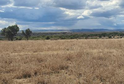 10 ac Land at Jisaidie