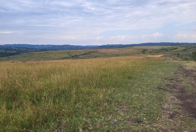 Land in Narok