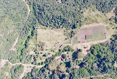 Land in Naivasha - 4