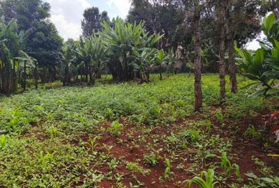 Land at Runda - 4