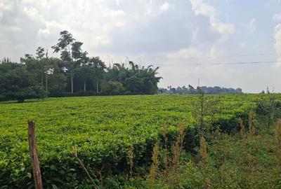 Residential Land in Tigoni - 2