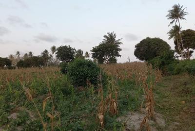 12 ac Commercial Land at Bomani Area