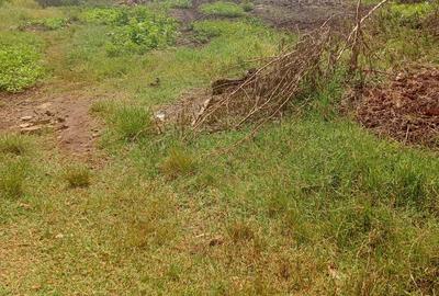 Land in Loresho - 3