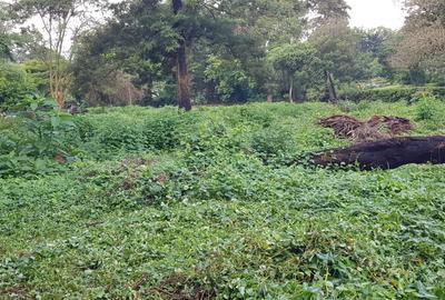 Residential Land at Shanzu Road