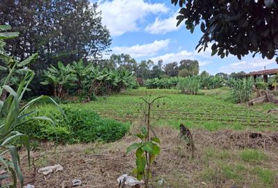 0.5 ac Land in Karen