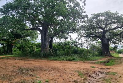 6 ac Land at Kilifi - 4