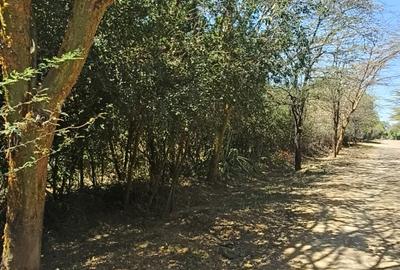 1.19 ac Residential Land at Mukoma - 3