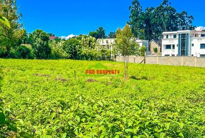 0.2 ha Residential Land at Ondiri - 4
