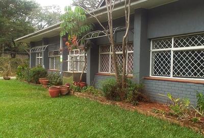 Commercial Property with Parking in Lavington