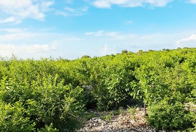 Land at Watamu - 3