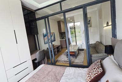 Studio Apartment with En Suite in Thika Road - 2